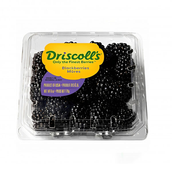 Driscoll'S Blackberry (Pack)