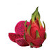 Dragon Fruit