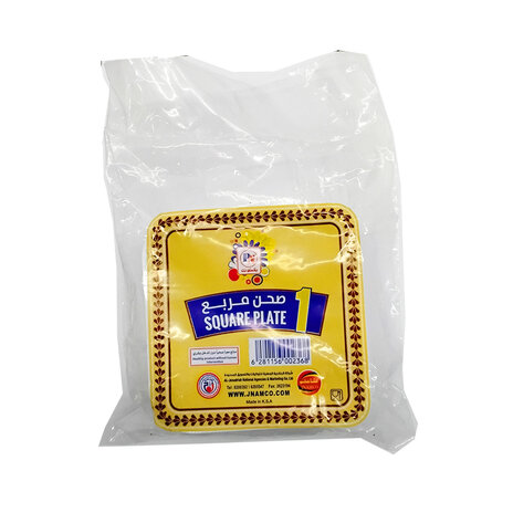 Plasti Net Square Plate#1