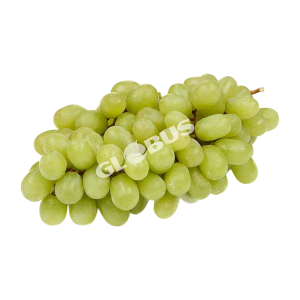 Виноград Шайн Мускат зеленый вес