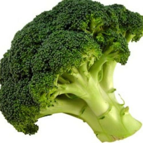 Broccoli Head