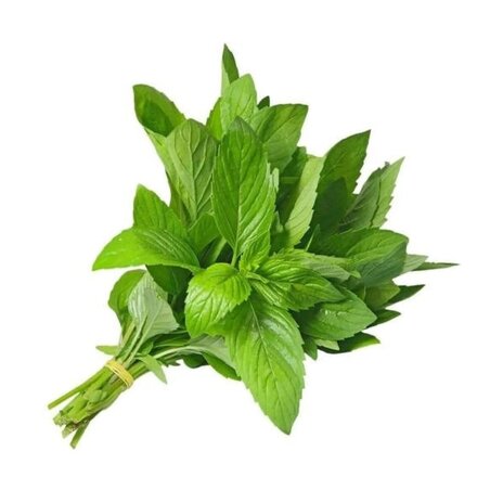 Molokhia (Bunch)