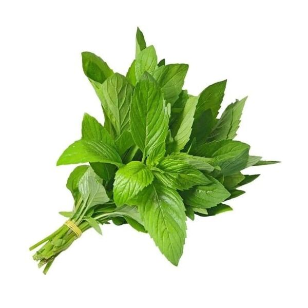 Molokhia (Bunch)