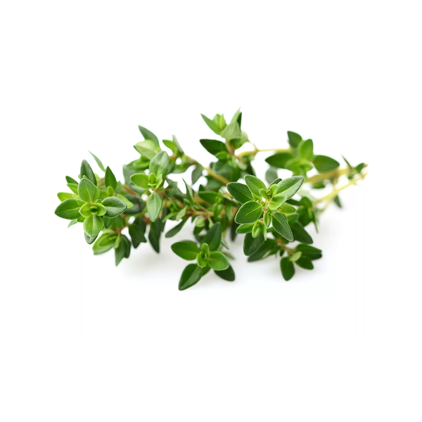 Purslane (Washed)
