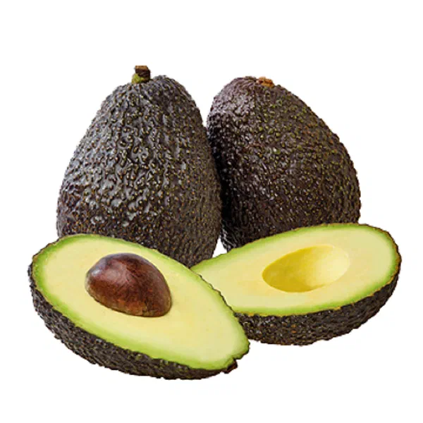 FRESH HASS AVOCADO FOR CREAMY HEALTHY MEALS