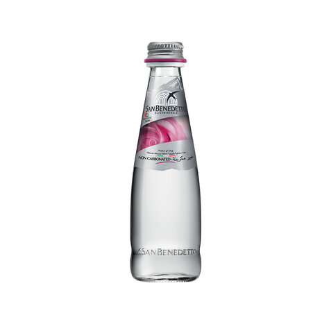 San Benedetto Sparkling Water 250 Ml
