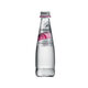 San Benedetto Sparkling Water 250 Ml