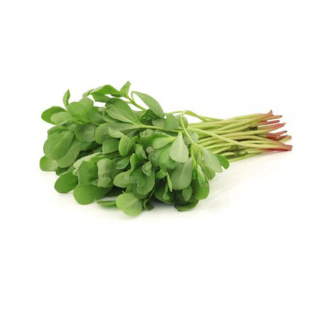 Esra Purslane (Bunch)