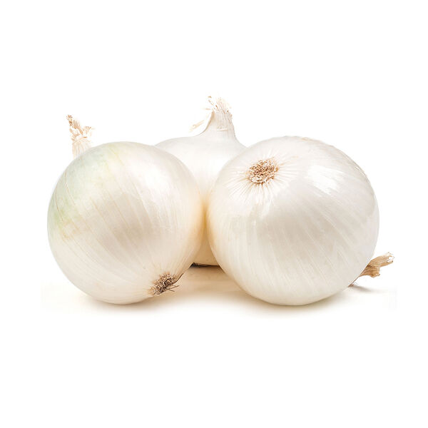 Onion White Imported