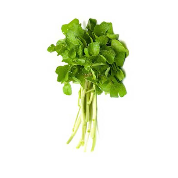 Fresh Leaf Vegetables Washed Watercress  Pack
