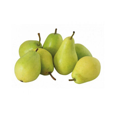 Pears Cosia Big Tray