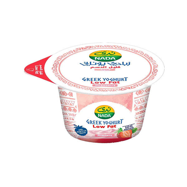 Nada Greek Yogurt Blueberry Low Fat