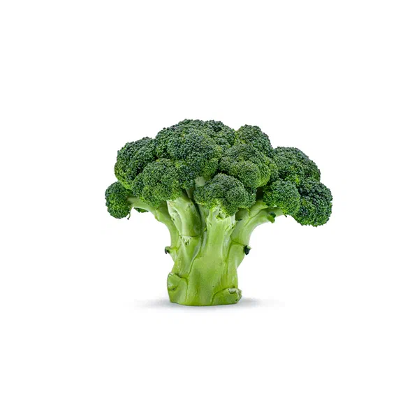 FRESH BROCCOLI WITH CRISP GREEN FLORETS