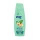 Pert Shampoo Ginger 400 Ml