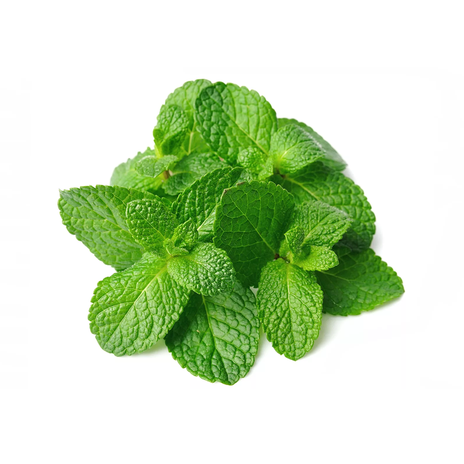 Mint (Washed)