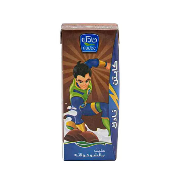 Nadec Milk Chocolate Flavored 185Ml