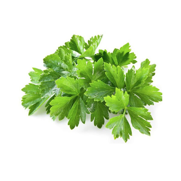 Fresh Leaf Vegetables Washed Coriander  Pack