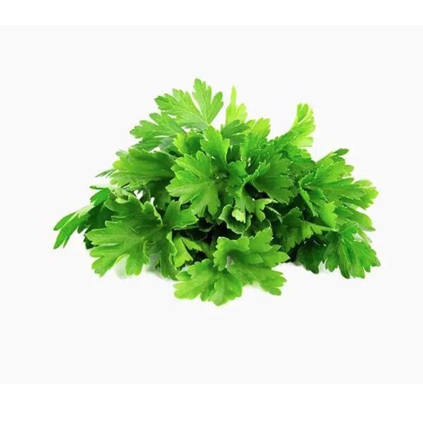 Fresh Leaf Vegetables Washed Parsley  Pack