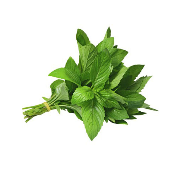 Esra Mint (Bunch)