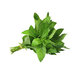 Esra Mint (Bunch)