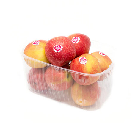 Apple Pink Lady Sharbatly (Punnet)