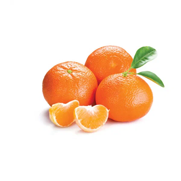 MOROCCAN AFANDI CITRUS FOR SWEET JUICY TASTE