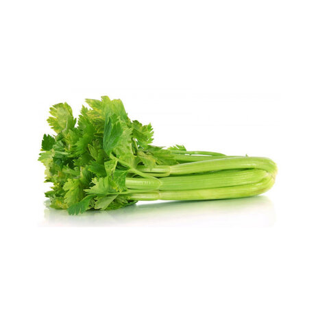 Celery Imported