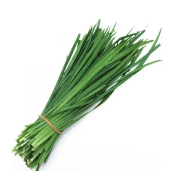 FRESH GREEN GARLIC LEAVES FOR COOKING