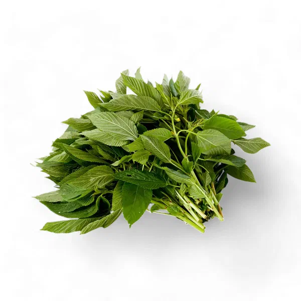 FRESH MULUKHIA PACK FOR COOKING