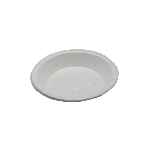 BINDAWOOD CLEAR PLASTIC PLATES WITH GOLD RIM 9-INCH 10-PACK