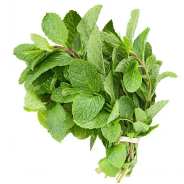 FRESH MINT LEAVES PACK FOR DAILY USE
