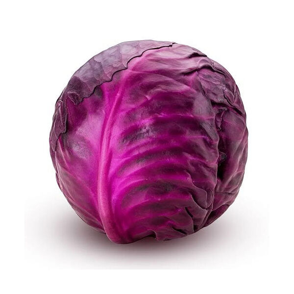 Cabbage Red