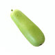 Pumpkin Green