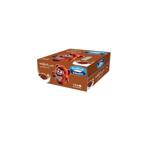 Saudia Chocolate Milk 125Mlx24