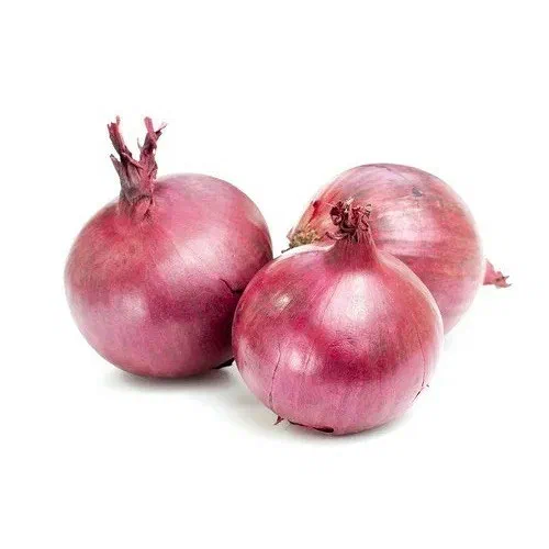 Onions Red 500g