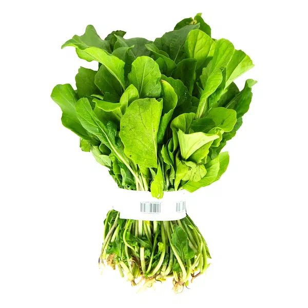 FRESH ARUGULA LEAVES FOR SALADS