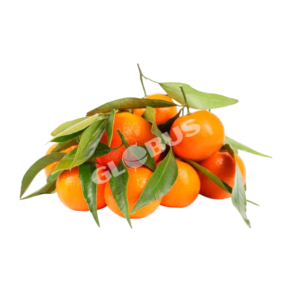 Мандарины с листиком вес