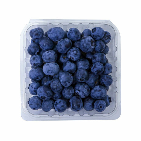 Blueberry