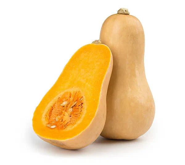 Butternut 2's