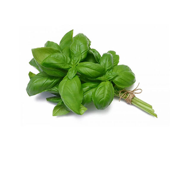 Holland Basil (Pack)
