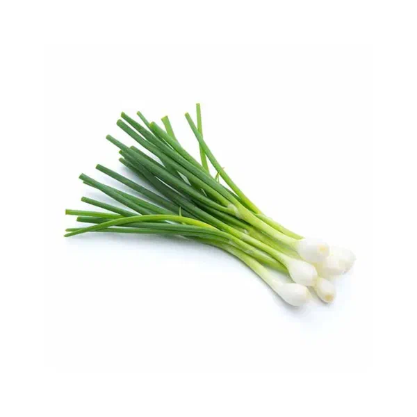FRESH GREEN ONIONS FOR COOKING AND SALADS