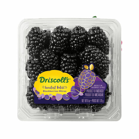 Driscoll'S  Blackberry (Pack)