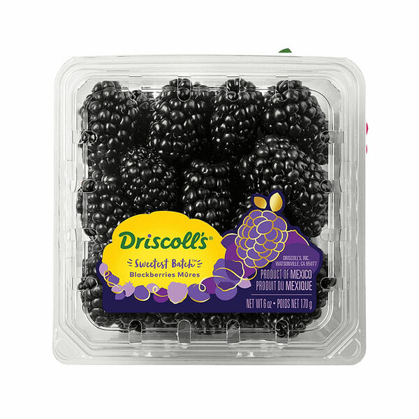 Driscoll'S  Blackberry (Pack)
