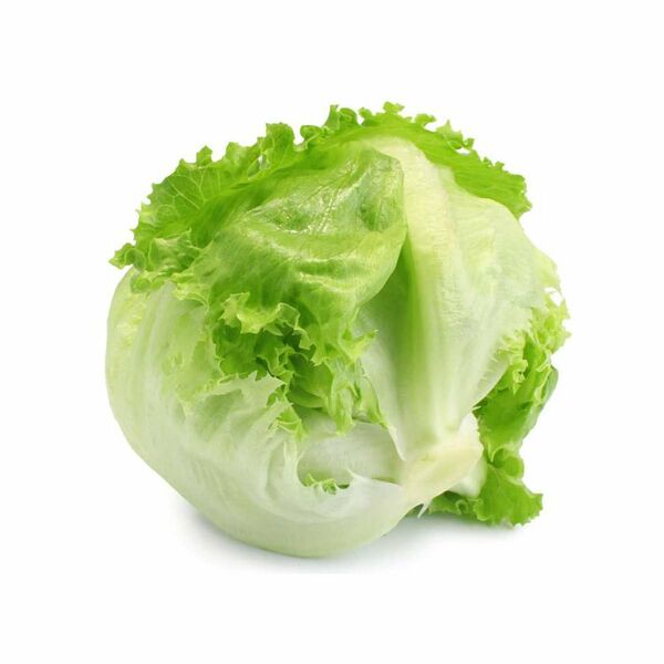 Lettuce Iceberg