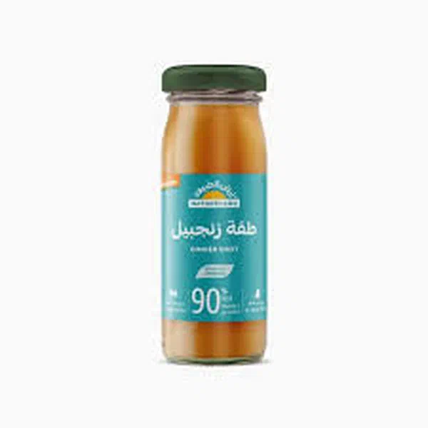 NATURELAND ORGANIC COLD PRESSED GINGER FUNCTIONAL SHOT 95ML