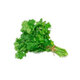 Fresh Parsley 30g