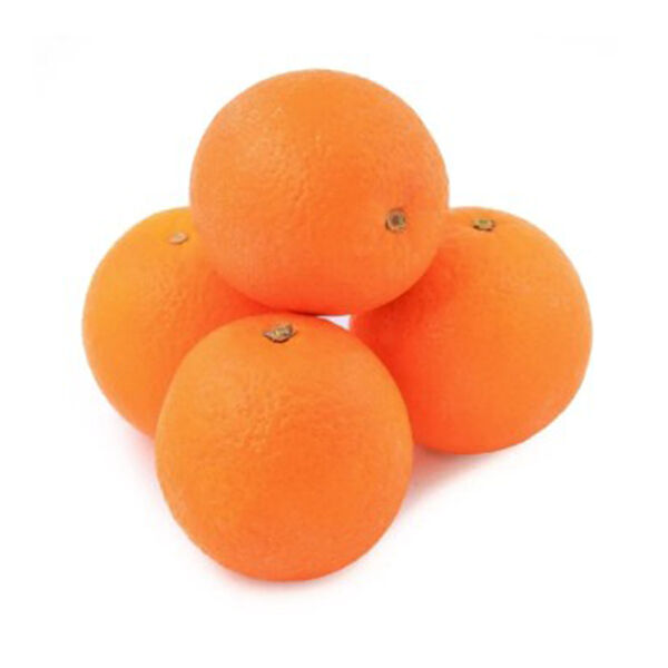 Orange Valencia Imported Big Tray