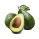 Avocado American
