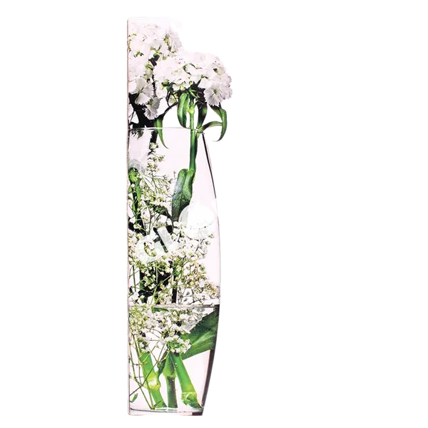 Botanica айнек ваза 43966 /26*8,2см/ 