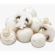 White Mushroom Punnet